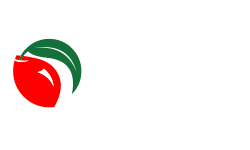 SEIS Billing Logo
